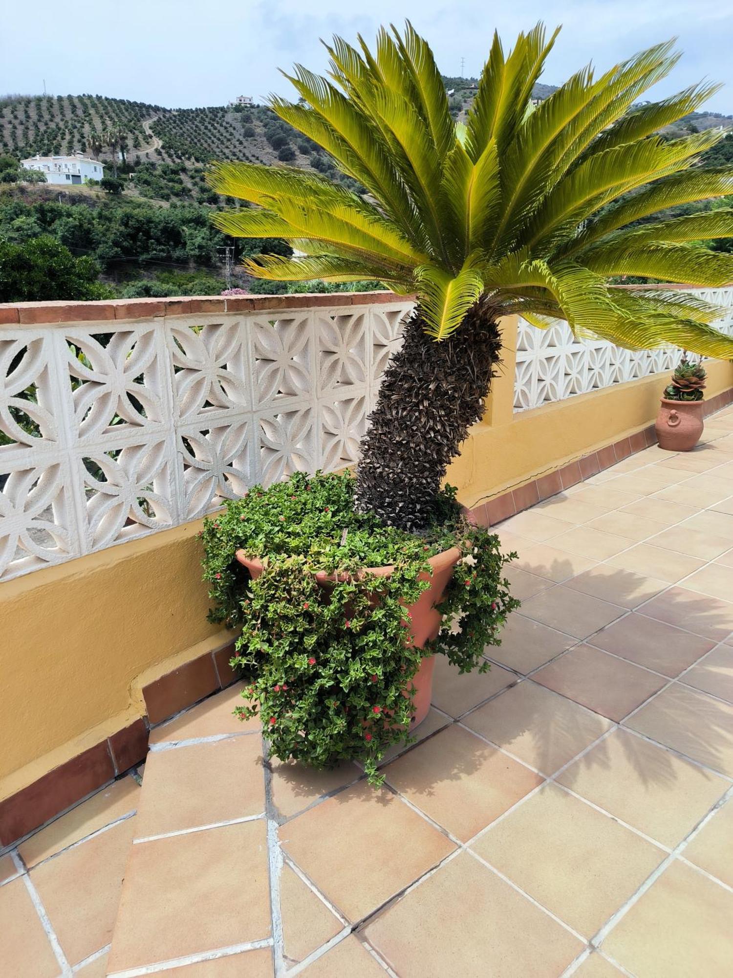 Villa Cortijo Maria Gomez Málaga Esterno foto
